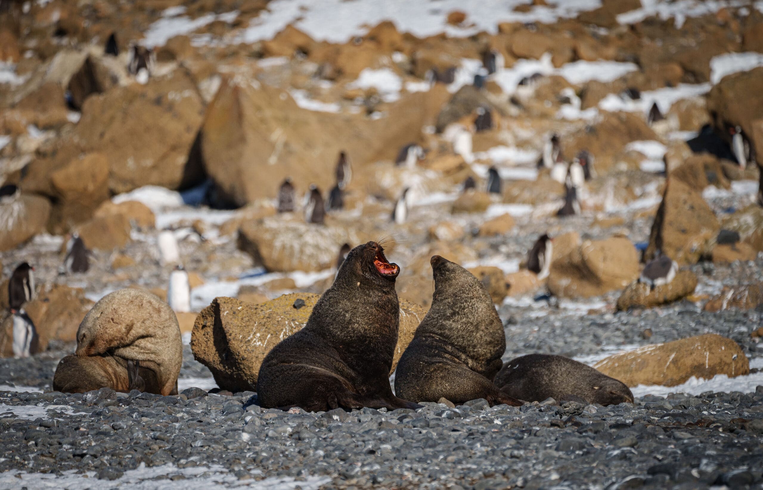 A21_MAG21-CA_2021-22RodrigoMoraga_017